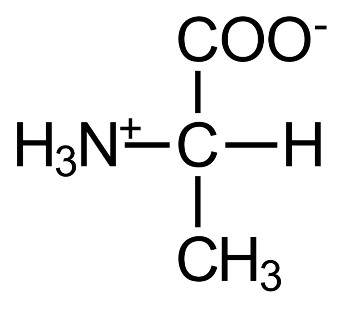 Amino acids - Knowledge @ AMBOSS, image size:1098x999