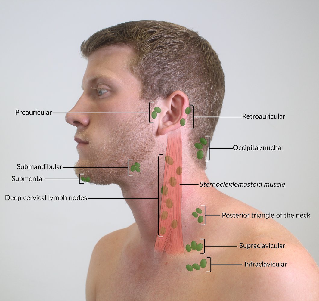 Swollen Lymph Nodes On Neck Best 5 Effective Home Remedies For 