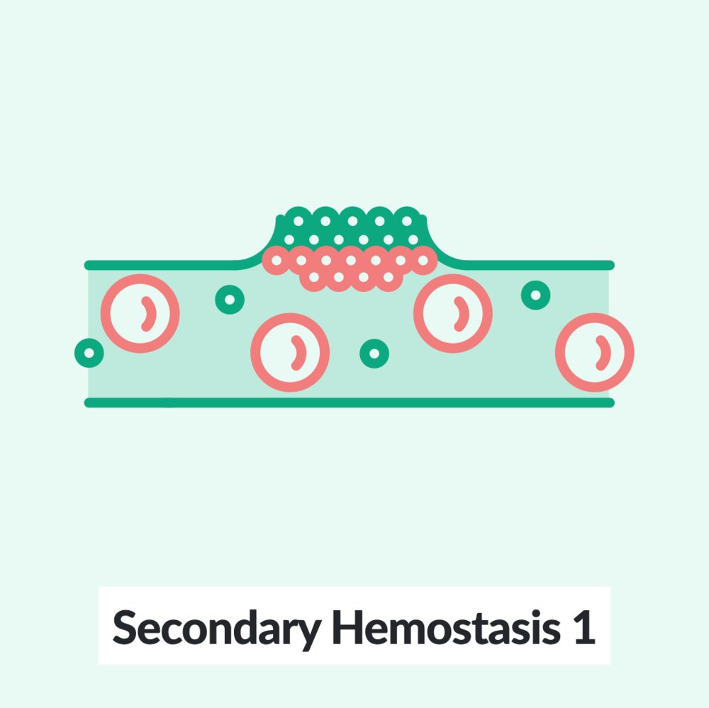 Sobriquette Tremare primo ministro chads vasc score amboss flessibile