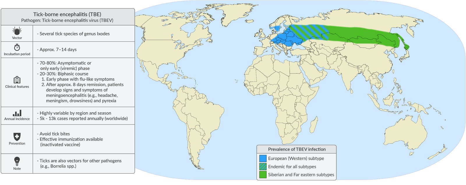 General Virology Amboss