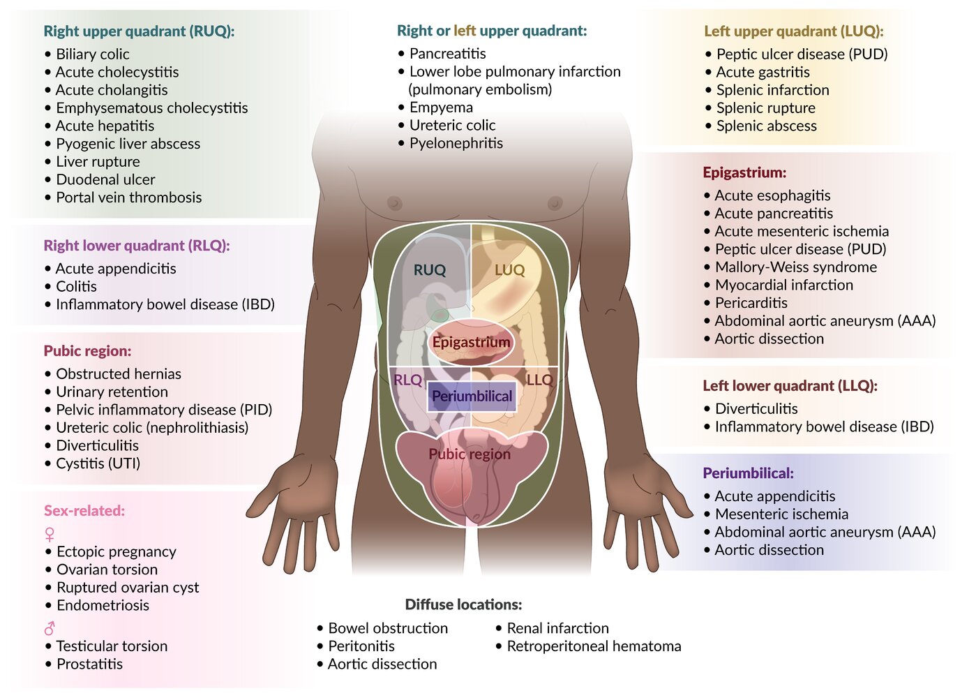 Abdominal Pain Causes And Anatomy Right Vs Left Male Vs 58 OFF