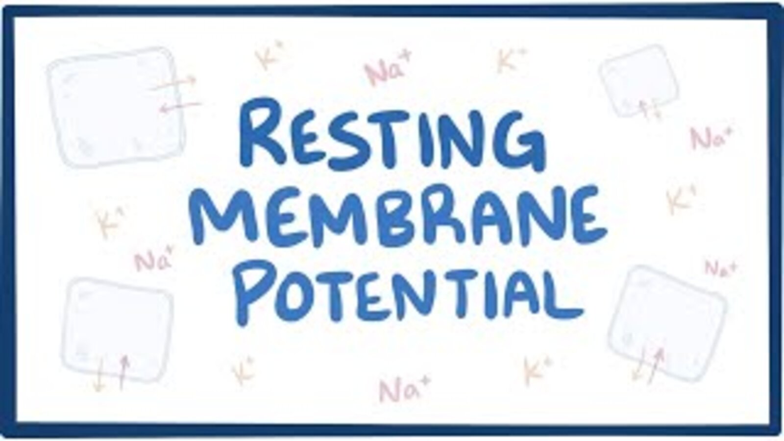 Resting potentials and action potentials - Knowledge @ AMBOSS