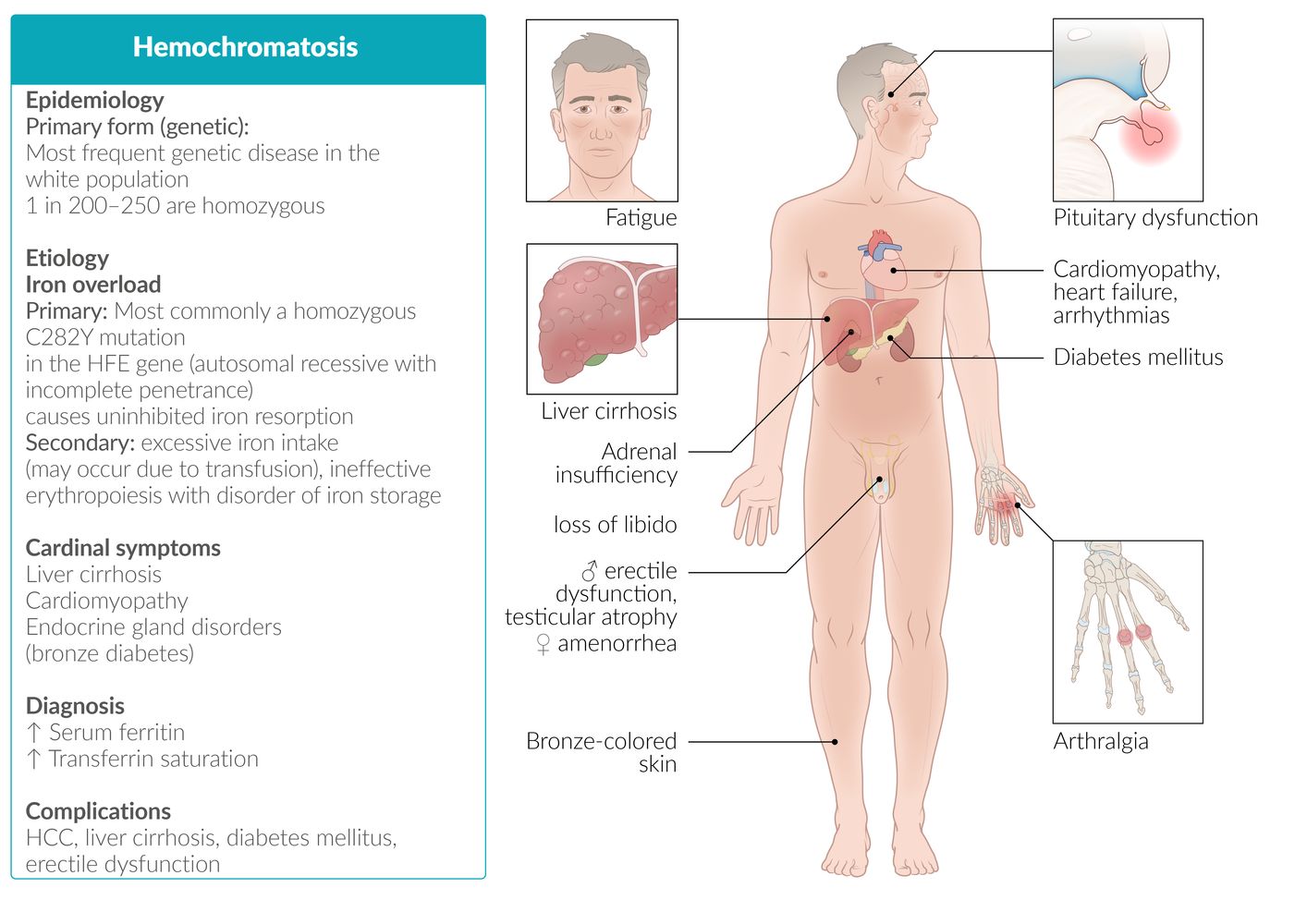 glutathione kisme paya jata hai How To Increase Glutathione In Body Naturally | ClearSkin, Pune
