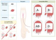 Extended RBC antigen systems